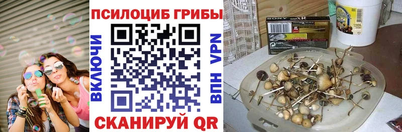 наркота  omg вход  Псилоцибиновые грибы GOLDEN TEACHER  Спас-Клепики 